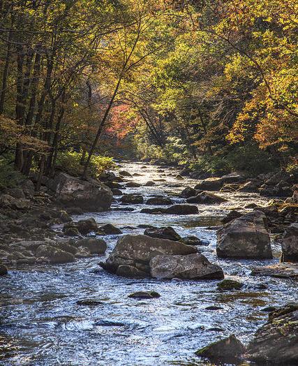 Savage River, Garrett County, MD