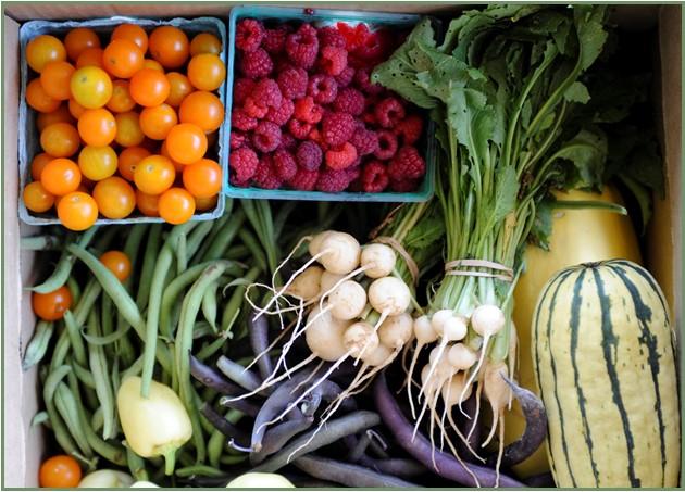 Figure 5 The variety of produce supplied in a weekly CSA share is one of the big draws for customers, and one of the big challenges for producers! Photo by Edwin Remsberg, © University of Maryland—AGNR Image Library 