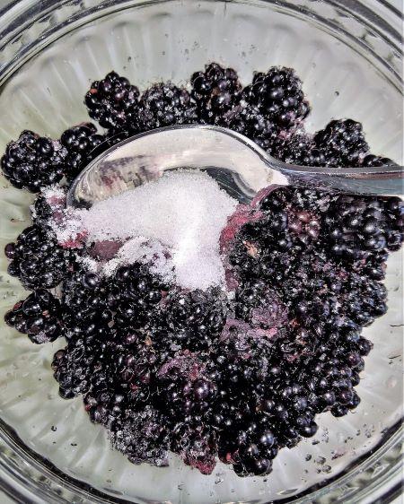blackberries in sugar coating