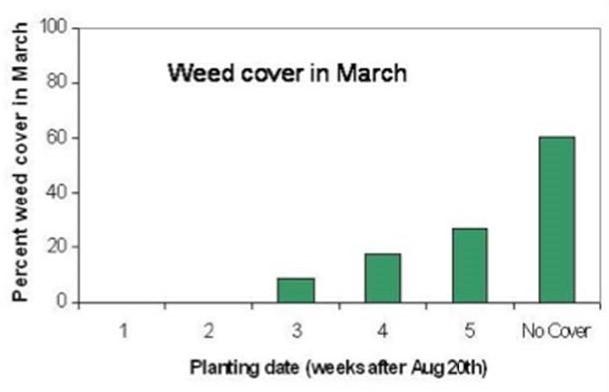 A bar graph on weed cover in March