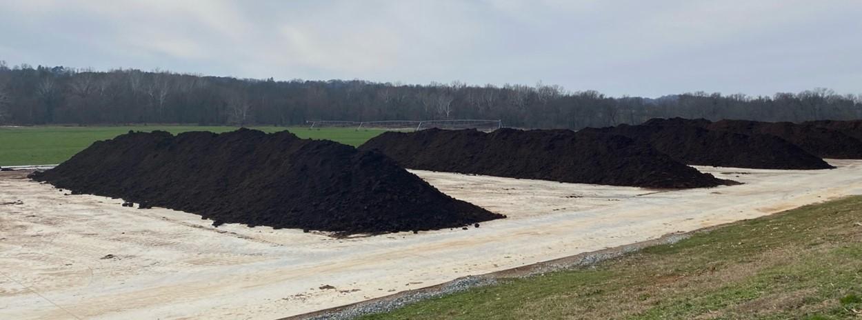 Large piles of composting of solids from liquid dairy manure