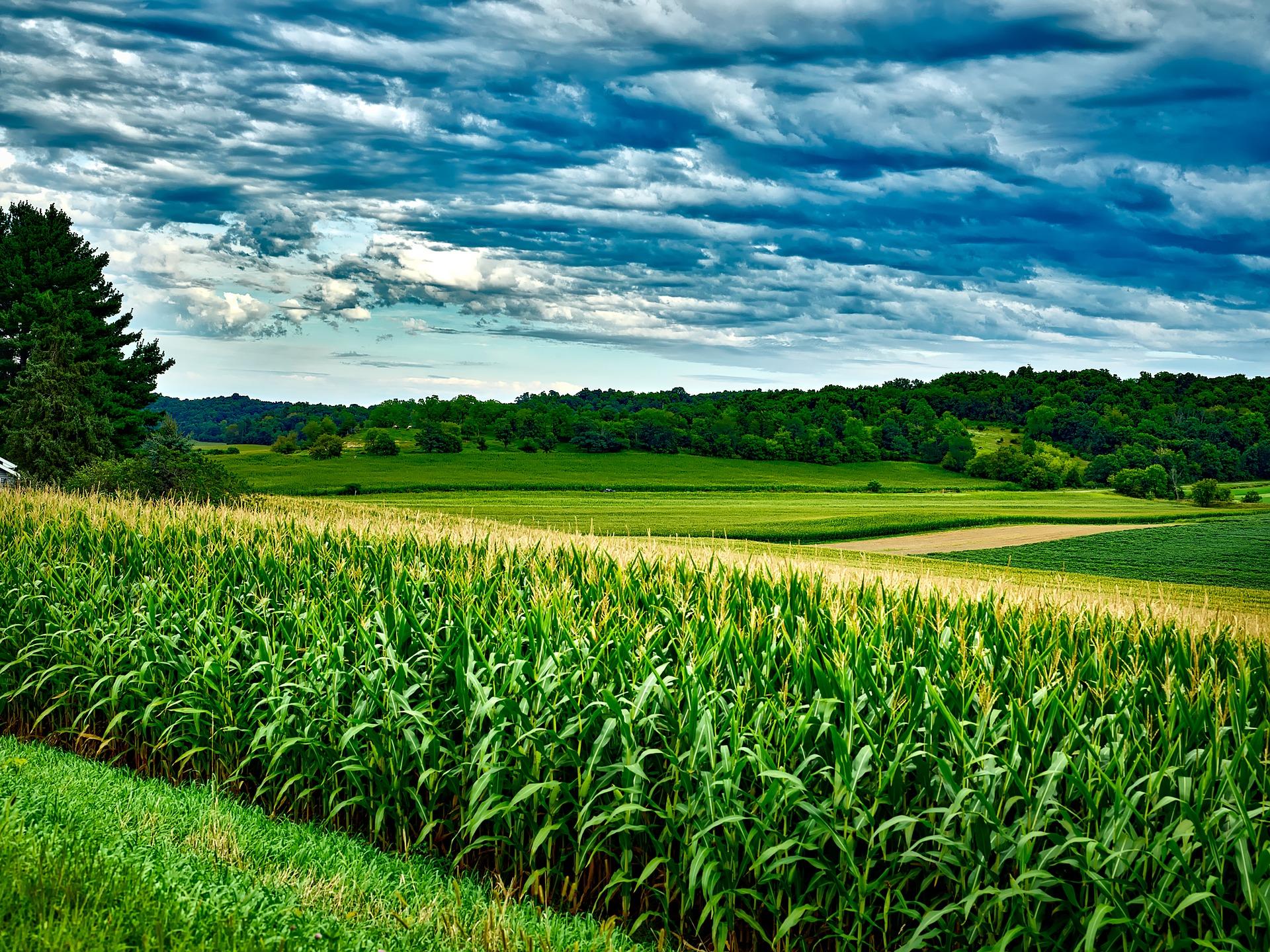 Agriculture