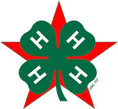 4-H Star