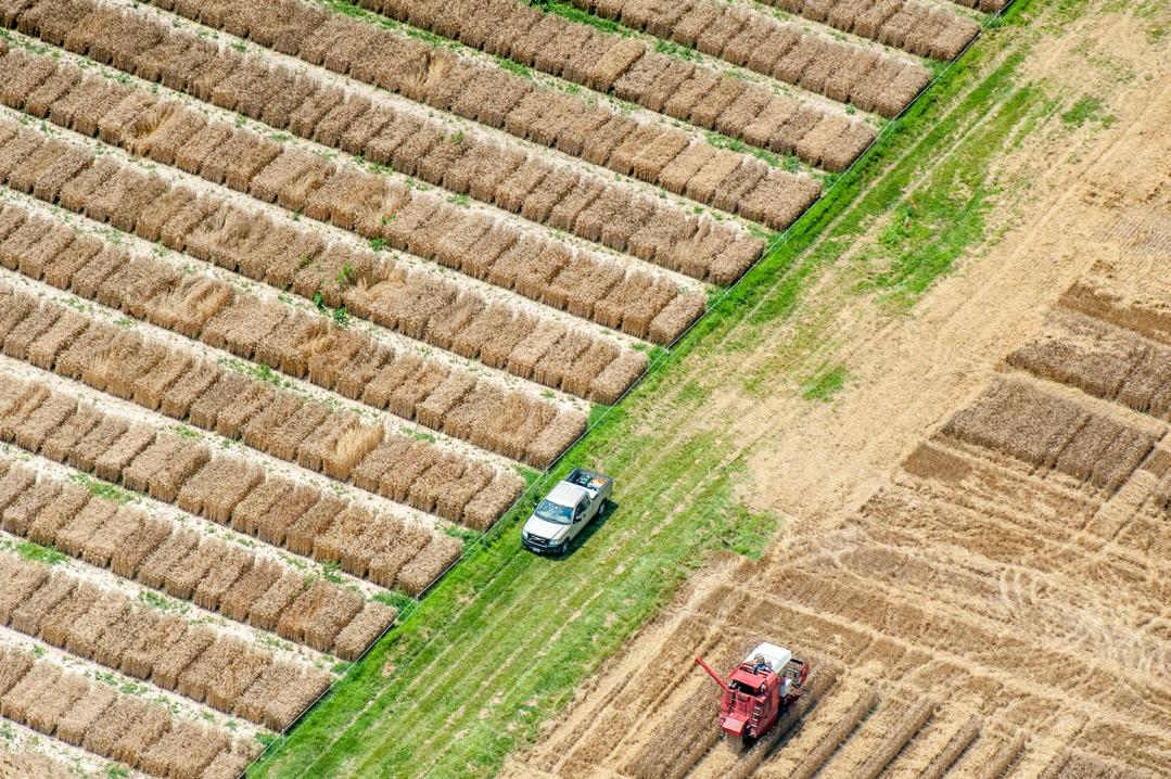 Tractor harvesting crop, Photo: Edwin Remsberg