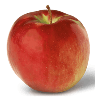  Cortland apple skin is characterized by a deep purple-red hue, with yellow streaks.