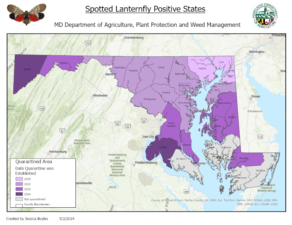 a map of maryland showing where there is a quarantine for spotted lanternfly