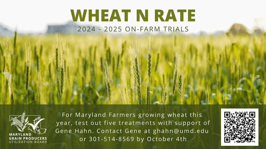 Maryland Grain Producers Wheat N Rate On-Farm Trials Ad