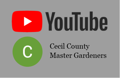 Cecil County MG Youtube image