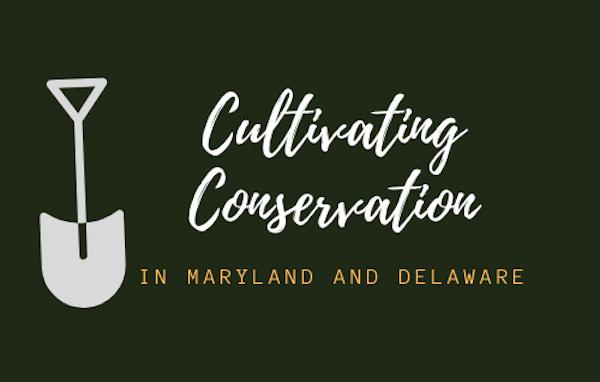 Cultivating Conservation written in white font with a shovel that says in maryland and delaware