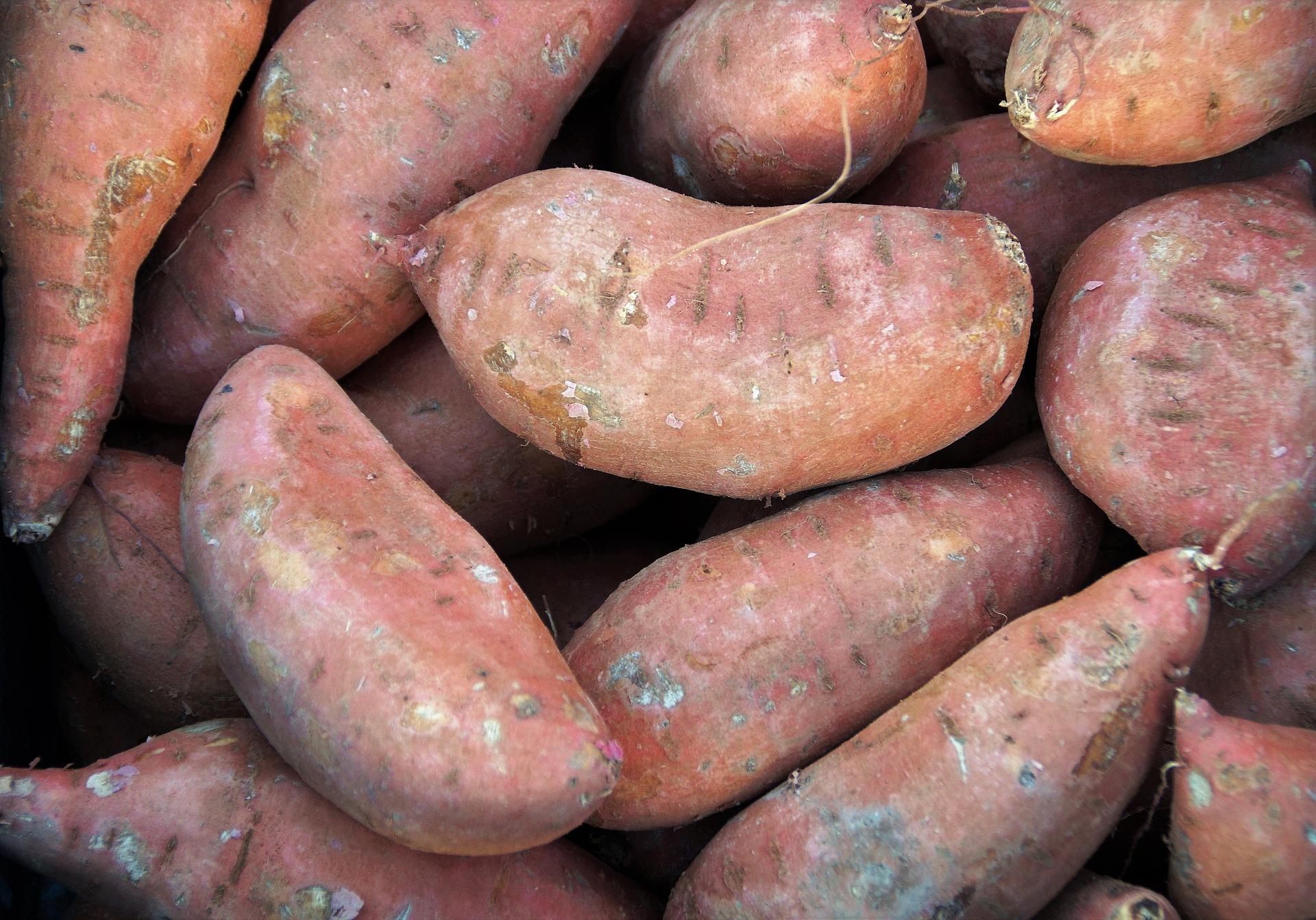 pile of sweet potatoes