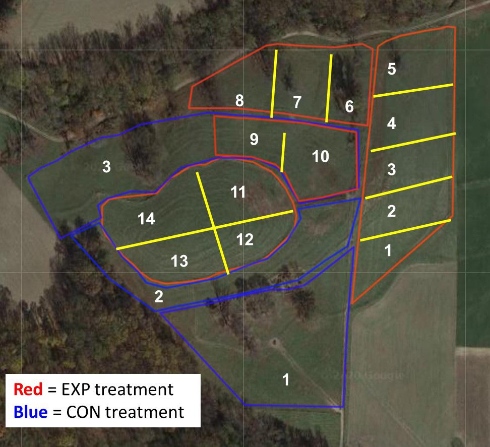 Effect of Improved Pasture Management on Growth Performance of Holstein Heifers Figure 1