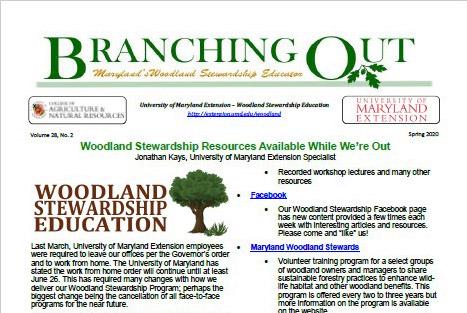 Branching Out newsletter cover page top half