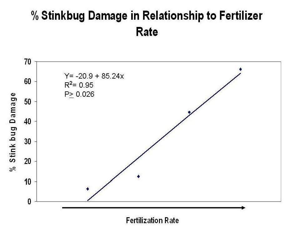 Shows the relationship between the fertility rate and the amount of stink bug damage to tomatoes.
