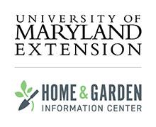 hgic logo for cards