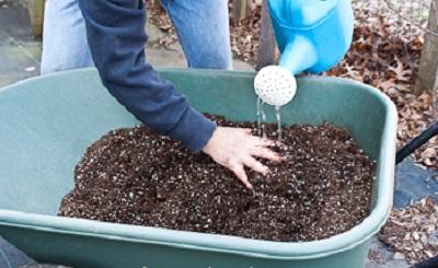 adding watering to the planting media in a wheelbarrow