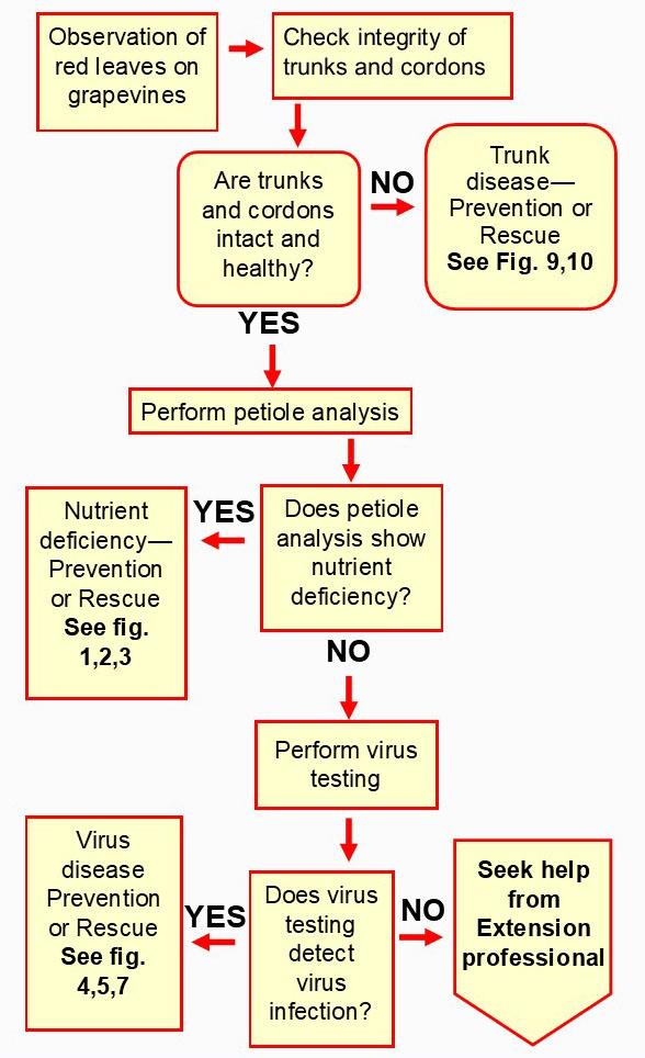 Figure 9. Red Leaf troubleshooting protocol