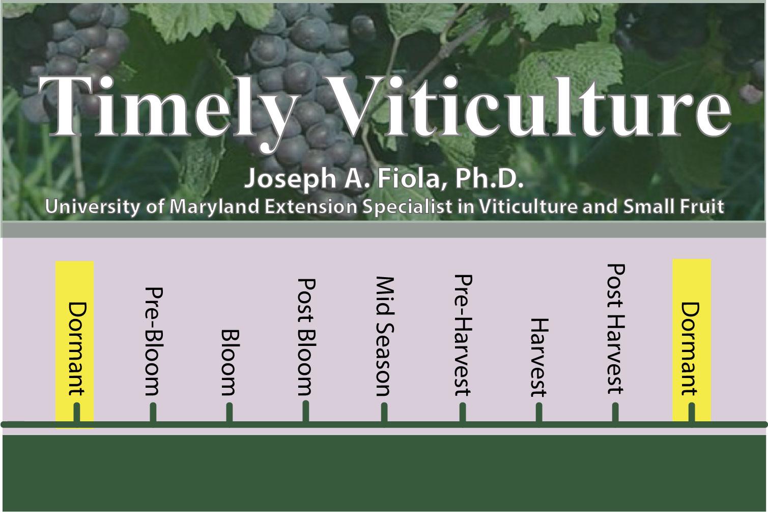 Timely Viticulture Timeline: Dormant 2