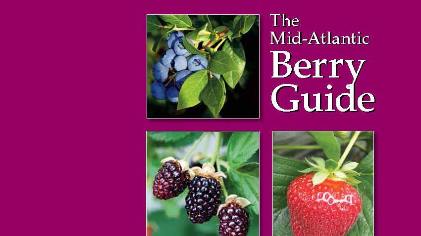 Mid-Atlantic Berry Guide