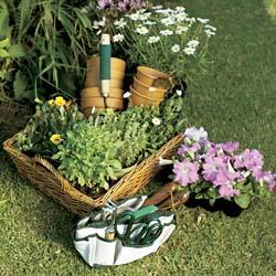 Gardening