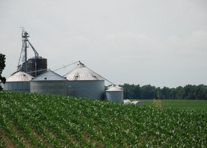 Corn field and grain silos pictured in the background