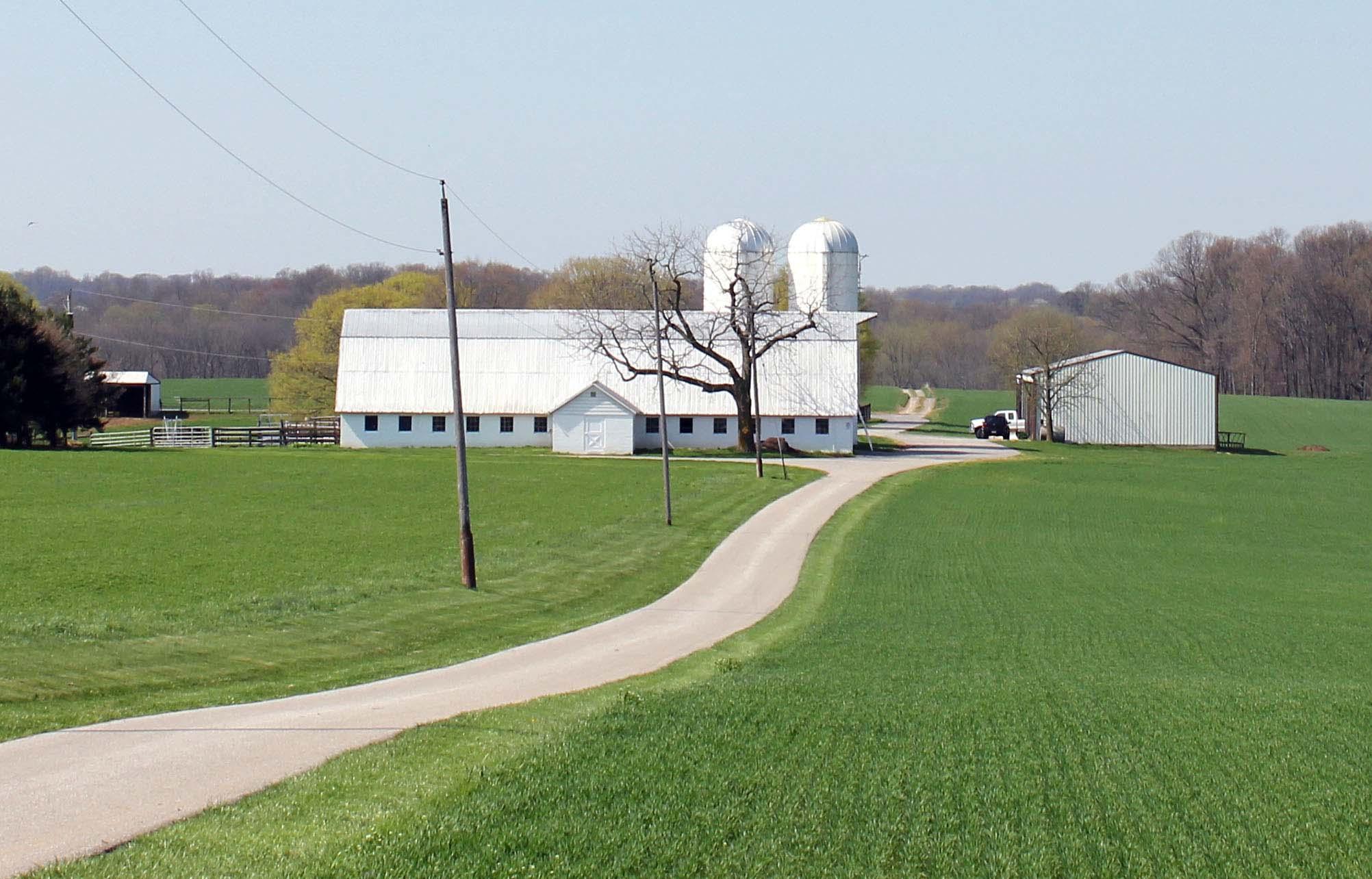 MDA's farm picture
