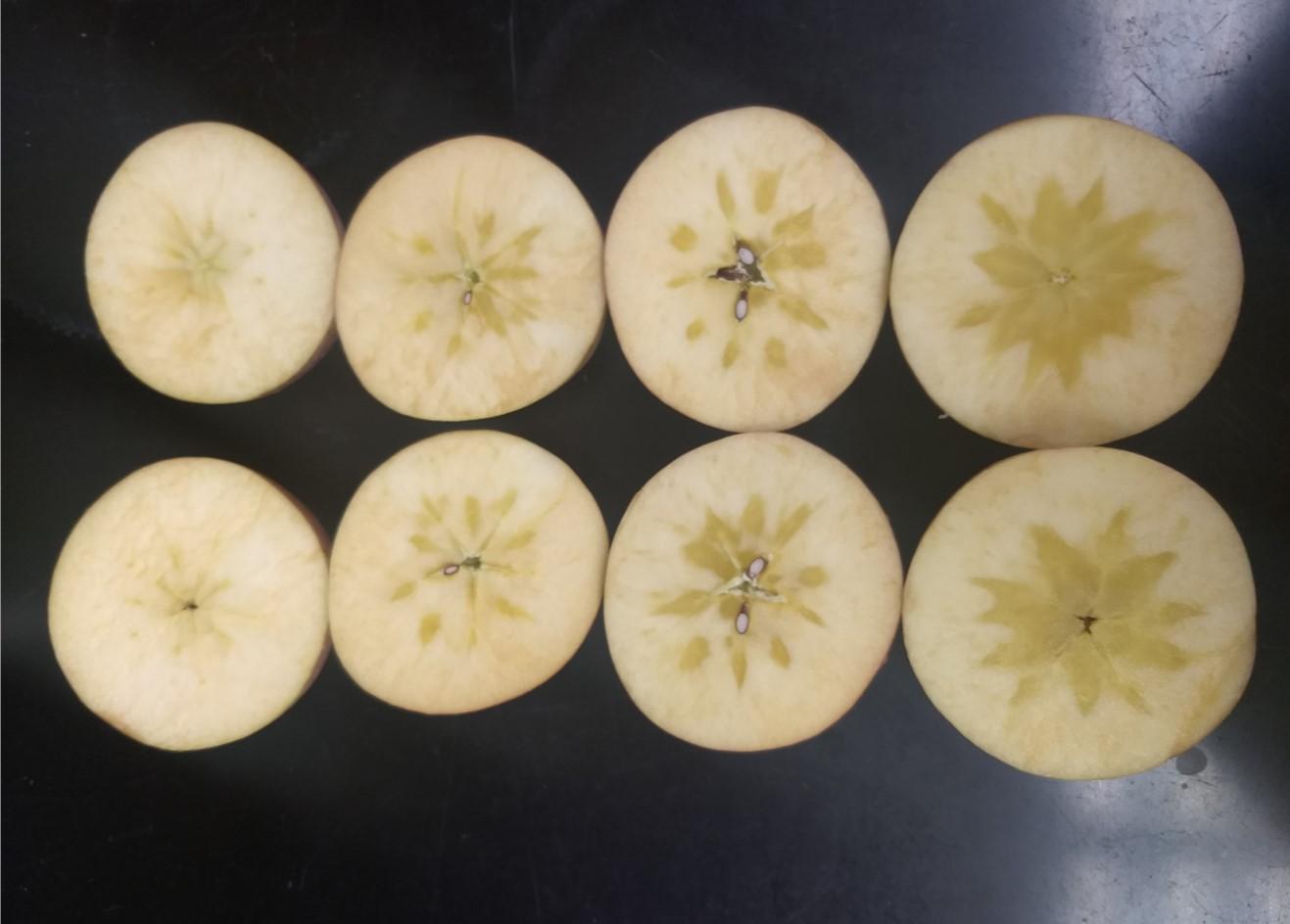 Apples with water core from mild to severe