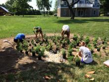 Calvert Watershed Planting pic SM