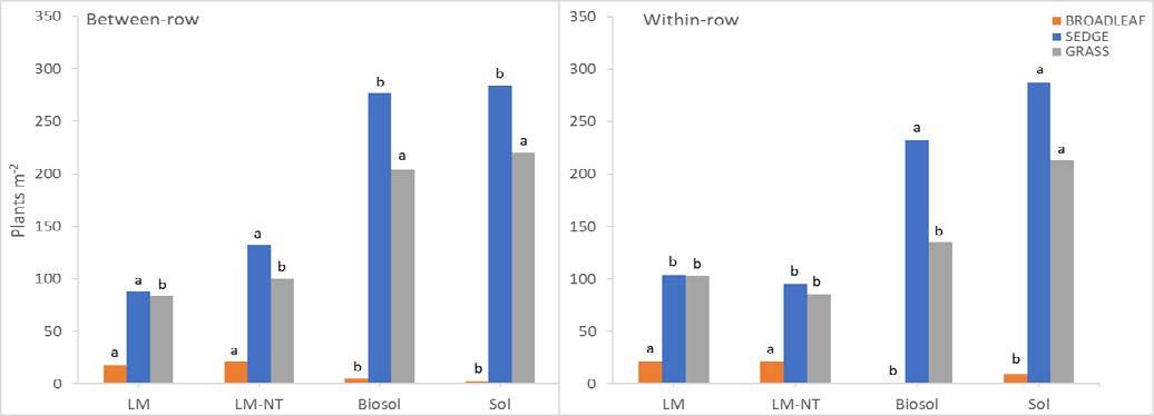 Bar graphs showing late-season results on between-row and within-row.