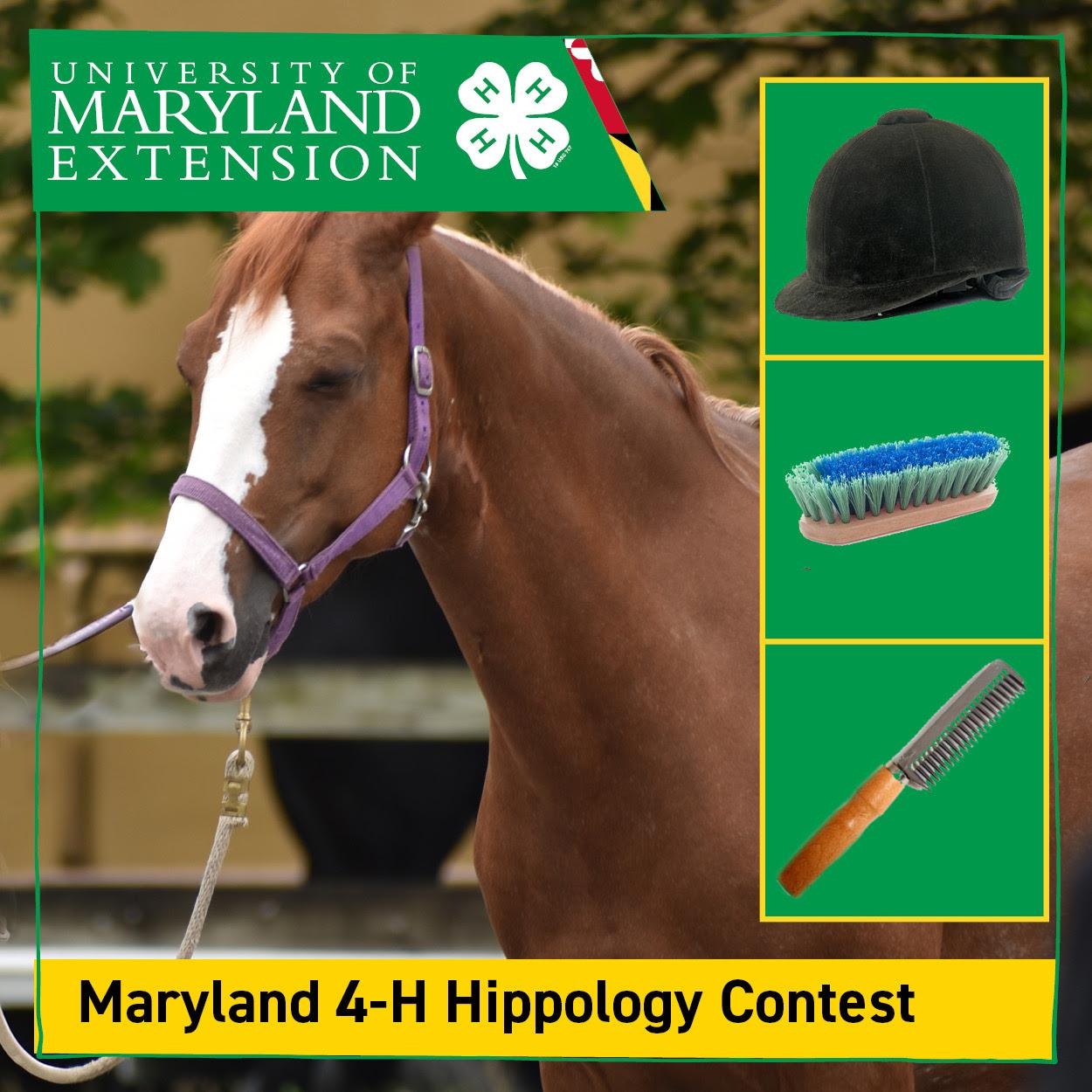 2024 Maryland 4-H Hippology Contest