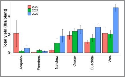 Bar graph displaying the average fruit yield results for each cultivar from the years 2020, 2021, and 2022 at UMD.