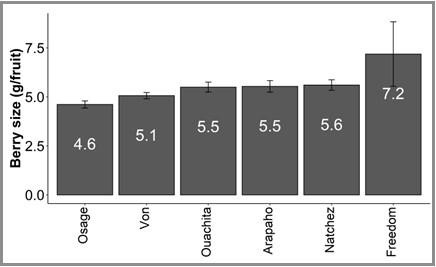 This is a bar graph displaying the results of cultivar studies conducted at the University of Maryland. It shows the average berry weight, measured in grams, for each cultivar, based on data collected from 2020 to 2022. The error bars indicate the standard error of the weight among the berries for each cultivar.