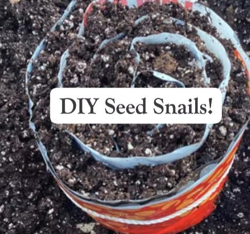 Seed Snail - planting seeds