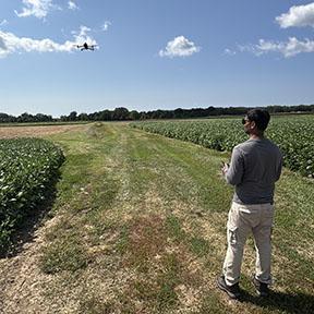 A person stands on a grassy farm access path between rows of green crops, holding a handheld remote controller while a small quadcopter drone flies ahead at low altitude. The scene is set in open farmland under a bright blue sky with scattered white clouds, with fields and a tree line visible in the distance.