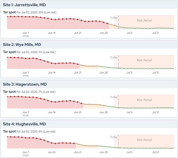 Screenshot of tar spot disease risk forecasts for four Maryland locations—Jarrettsville, Wye Mills, Hagerstown, and Hughesville. Line graphs show low tar spot risk levels ranging from 5% to 19% on July 2, 2026, with risk declining over time and remaining low through the forecast period.