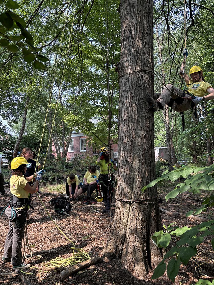 Students practice climbing trees with gear