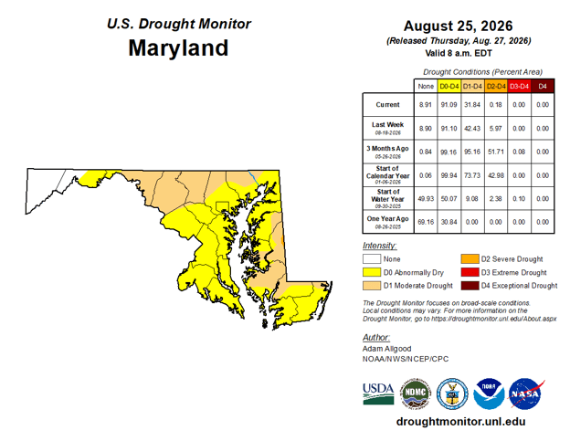 Alt text: U.S. Drought Monitor map for Maryland dated August 25, 2026, showing most of the state in abnormally dry (D0) conditions, indicated in yellow. Small areas of moderate drought (D1), shown in tan, are present along portions of the Eastern Shore and central Maryland. No areas of severe, extreme, or exceptional drought are shown. The map includes a drought intensity legend and summary statistics table.