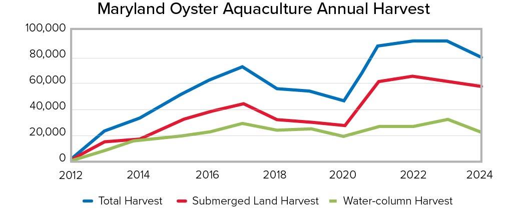 Line graph showing Maryland oyster aquaculture harvests from 2012 to 2024. Total, submerged land, and water-column harvests all increase substantially over the period, with total harvest peaking near 90,000 in 2022-2023 before declining in 2024.