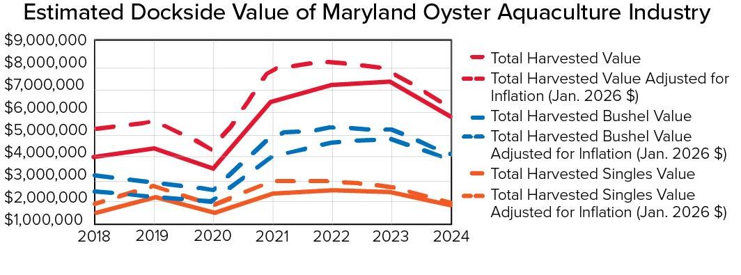 Line graph showing the estimated dockside value of Maryland’s oyster aquaculture industry from 2018 to 2024. Total harvest value, bushel harvest value, and singles harvest value all decline in 2020, increase sharply in 2021-2023, and decrease in 2024. Inflation-adjusted values are consistently higher than reported values, with total harvest value reaching its highest level in 2022-2023.