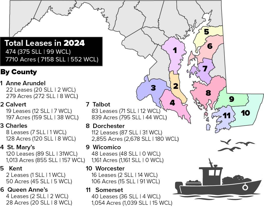 Map of Maryland’s oyster aquaculture lease locations by county in 2024. The map shows 474 leases totaling 7,710 acres across 11 counties. Dorchester County has the largest number of leases (112) and leased acreage (2,855 acres), followed by St. Mary’s County (120 leases, 1,013 acres), Wicomico County (48 leases, 1,161 acres), Somerset County (40 leases, 1,054 acres), and Talbot County (83 leases, 839 acres). County labels include lease counts and acres for submerged land leases (SLL) and water-column leases