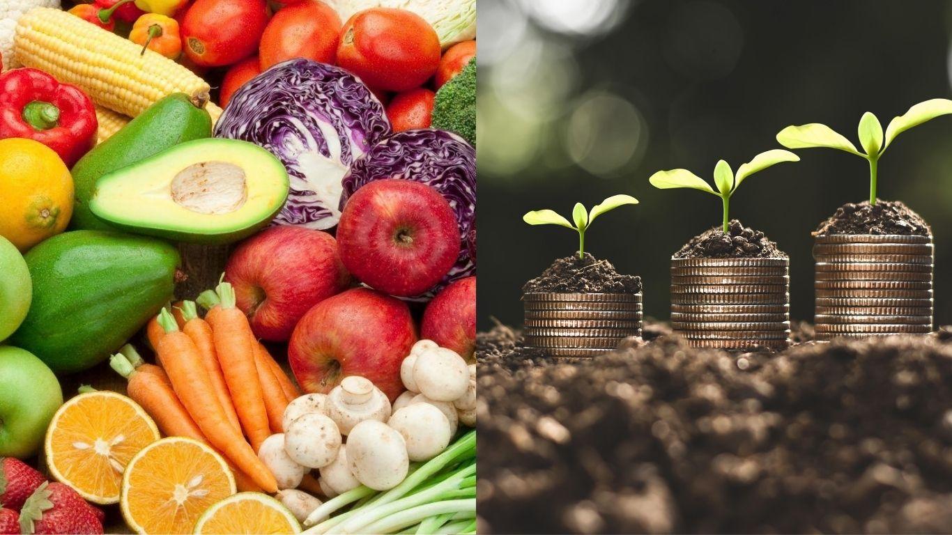 Fruits, vegetables, coins growing seedlings. 