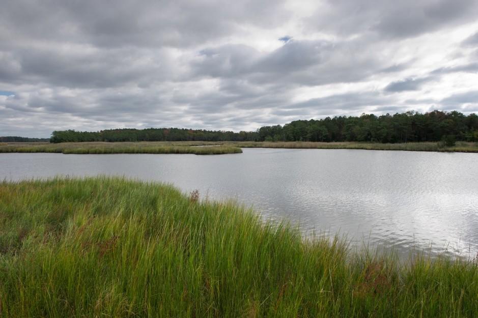 Wicomico County