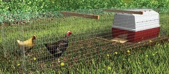 Poultry_Chicken_Kennel