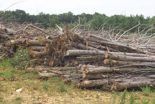 Biosolids & Poultry Research