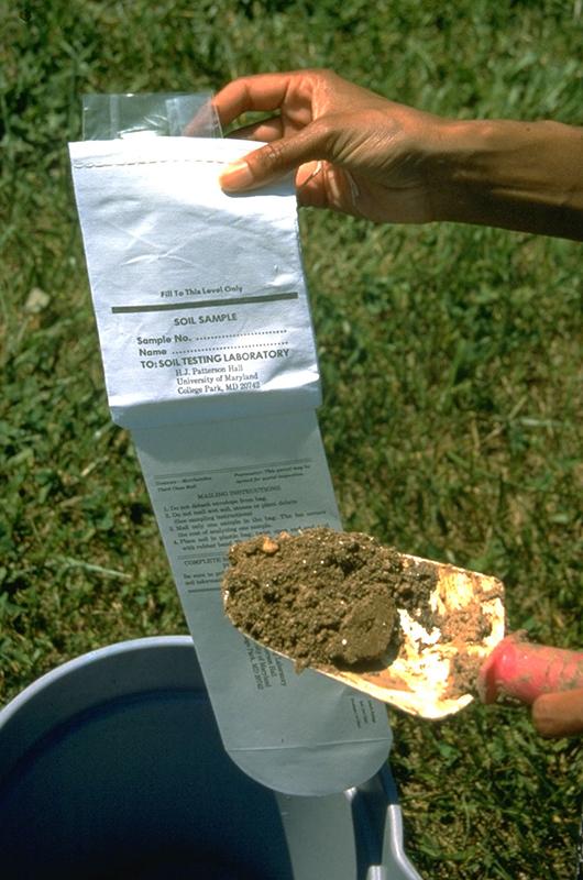 Soil sample