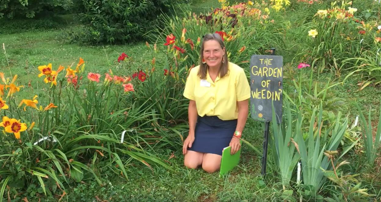 Gardener in flower bed