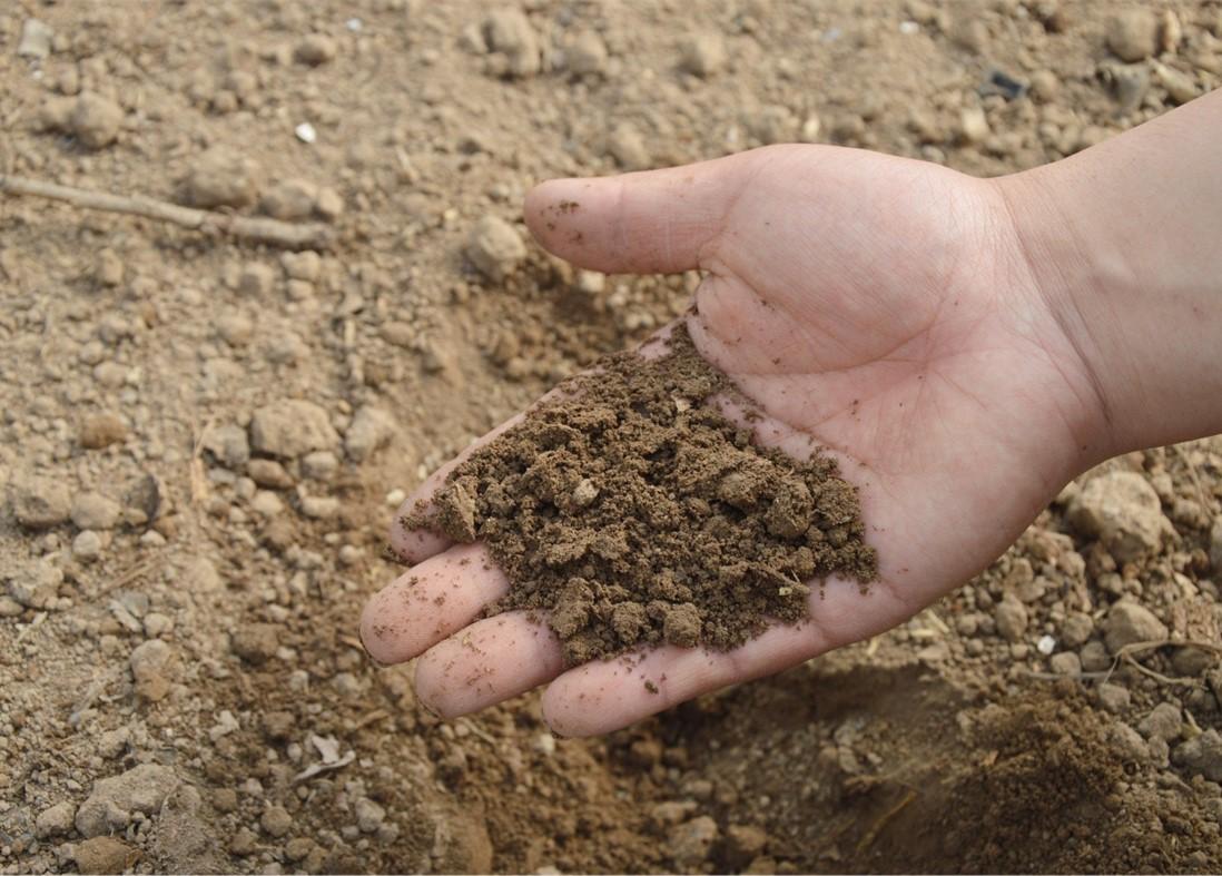 hand holding soil