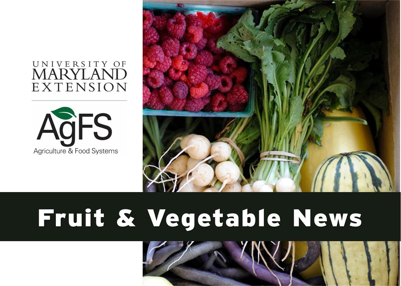 Fruit and Vegetable News header