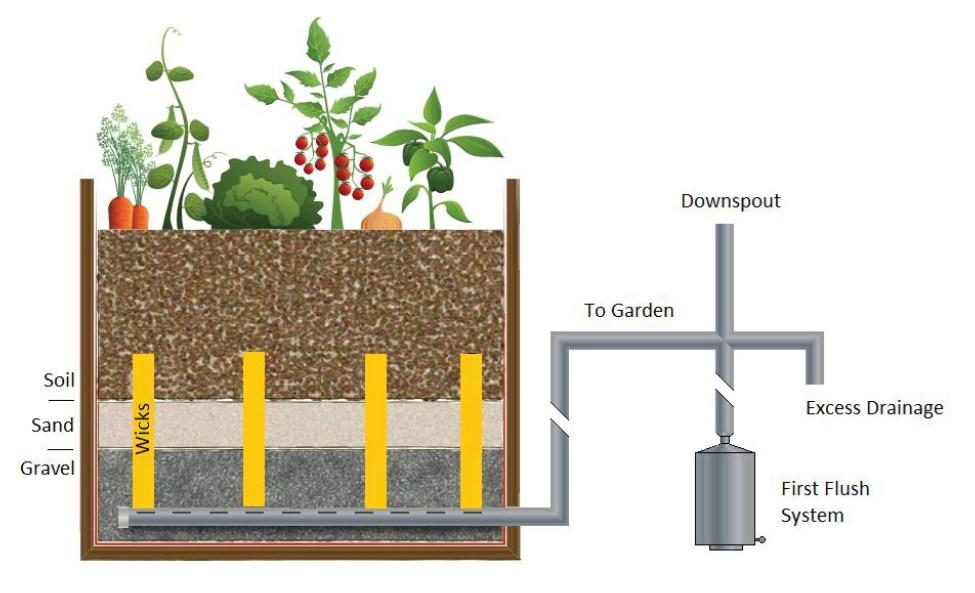 A vegetable rain garden schematic.