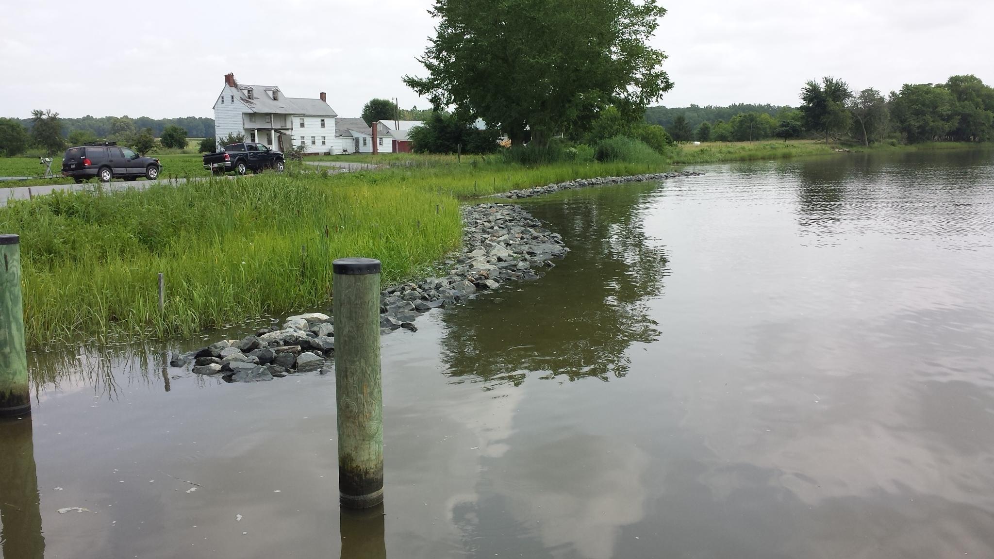 Shoreline Management