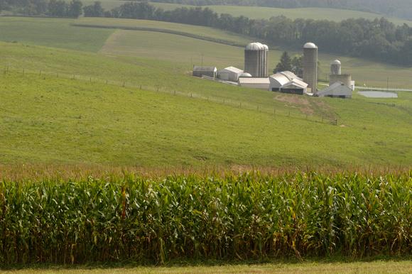 Farm fields with the farm buildings in the background